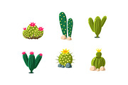 Cactuses set, bright flowering