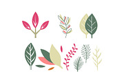 Flat vector set of leaves of