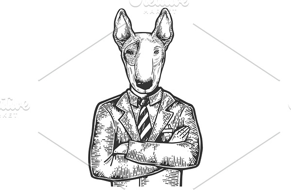 Bull terrier businessman engraving