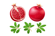 Set of Ripe juicy pomegranate. Fruit