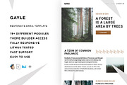 Gayle – Responsive Email template