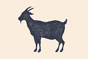 Goat. Vintage logo, retro print