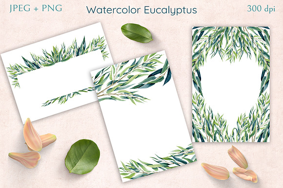 Watercolor Eucalyptus in Illustrations - product preview 2