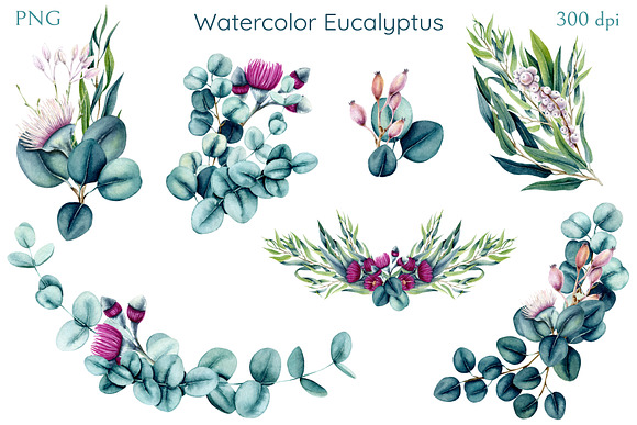 Watercolor Eucalyptus in Illustrations - product preview 4