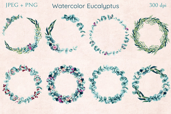Watercolor Eucalyptus in Illustrations - product preview 6