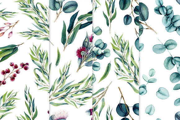 Watercolor Eucalyptus in Illustrations - product preview 7