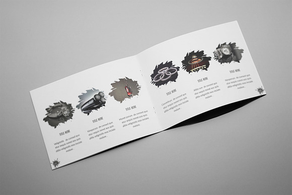 Aliva - A5 Photography Brochure in Brochure Templates - product preview 3