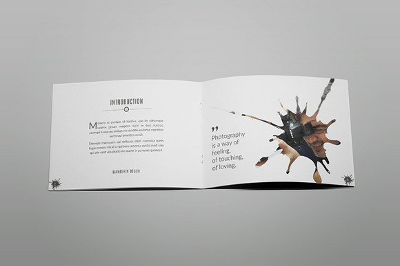 Aliva - A5 Photography Brochure in Brochure Templates - product preview 5