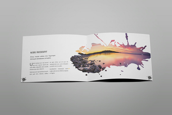 Aliva - A5 Photography Brochure in Brochure Templates - product preview 10