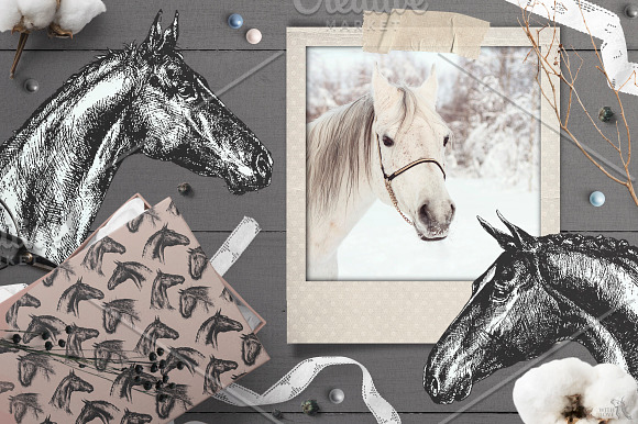 Ink Horses Graphic Collection in Illustrations - product preview 6