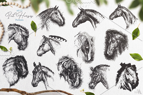 Ink Horses Graphic Collection in Illustrations - product preview 7