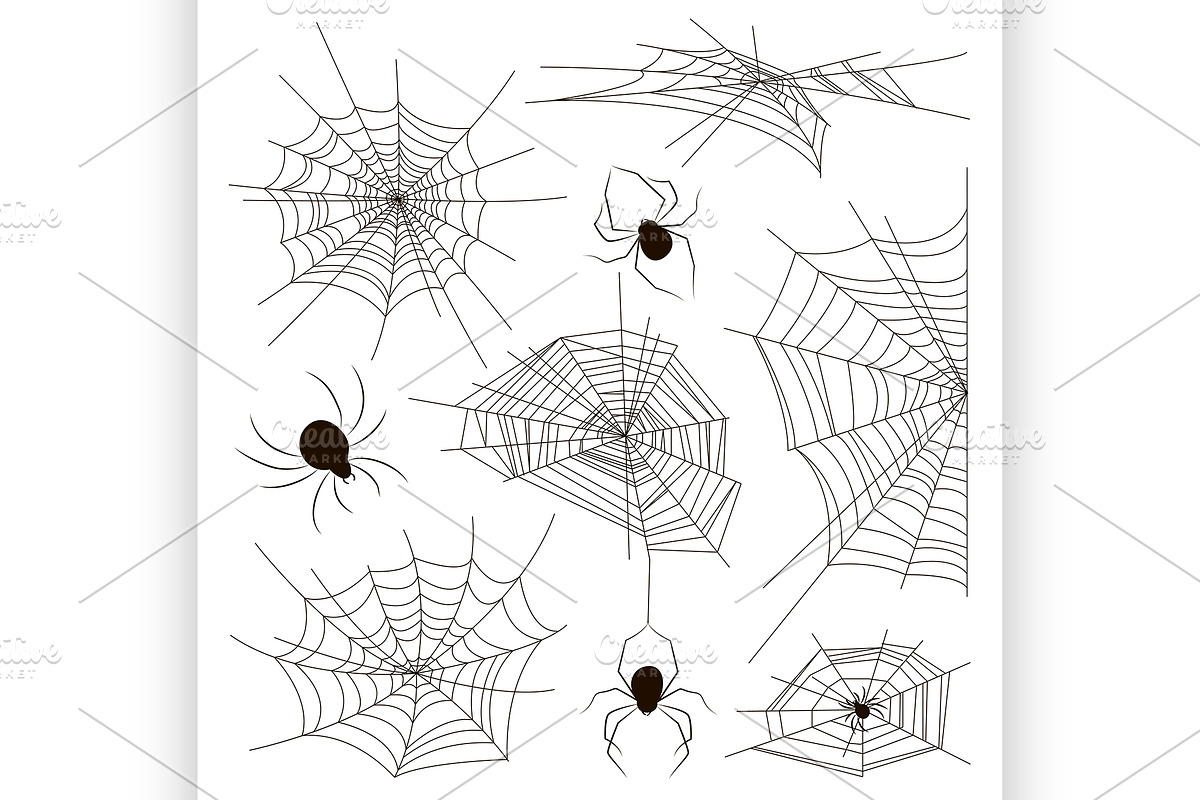 Collection of spiders and webs in Illustrations - product preview 8