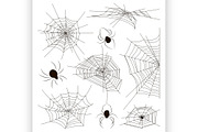 Collection of spiders and webs