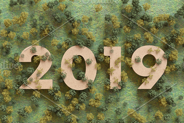 2019 in the woods, 3D rendering