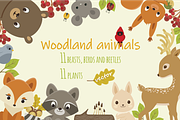 Woodland Animals Bundle
