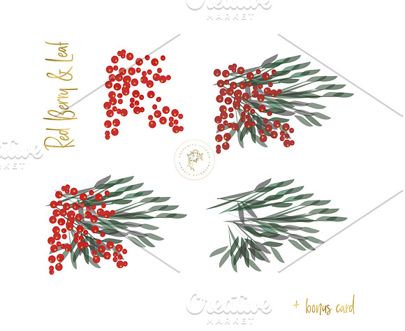Red Berry & Leaf Clipart Set in Illustrations - product preview 1