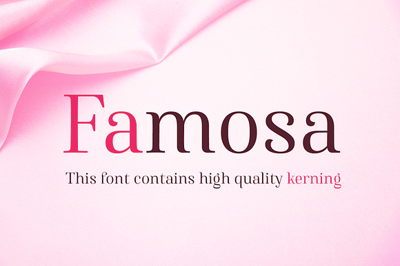 Famosa - Regular + Heavy in Serif Fonts - product preview 5