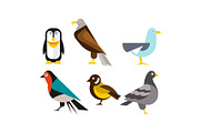 Birds set, penguin, eagle, gull