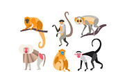 Collection of monkeys of different