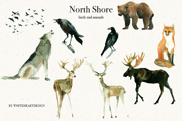 North Shore Book Style Illustrations in Illustrations - product preview 5