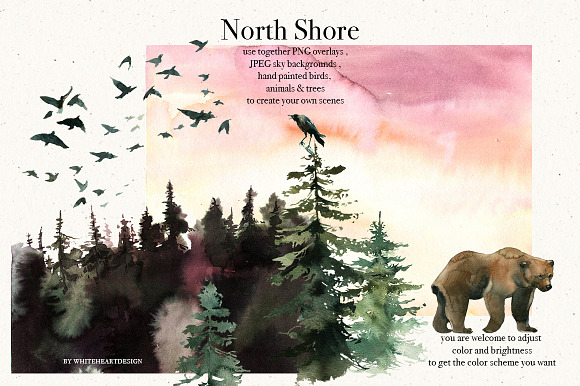 North Shore Book Style Illustrations in Illustrations - product preview 10