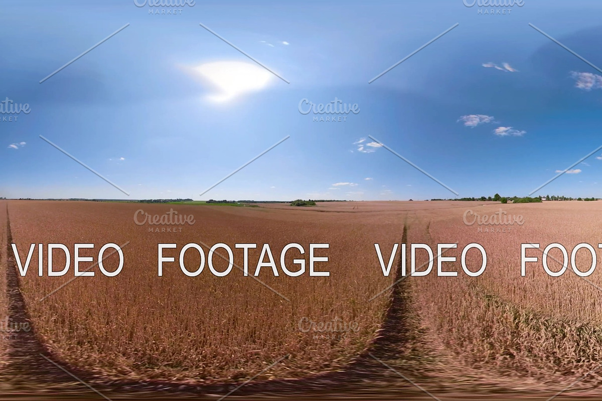 Yellow wheat field VR360 in Graphics - product preview 8