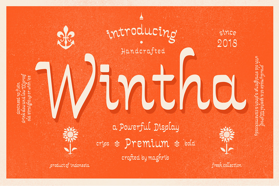 Wintha Typeface in Display Fonts - product preview 8