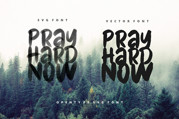 Pray Hard Now - 30% OFF - SVG Font in Display Fonts - product preview 2