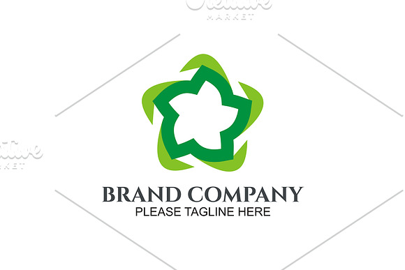 20 Logo Flower Templates Bundle in Logo Templates - product preview 6