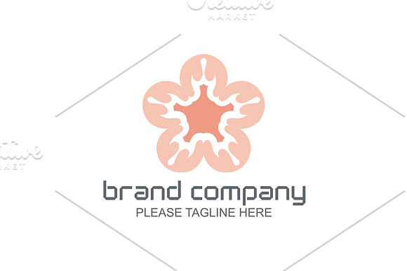 20 Logo Flower Templates Bundle in Logo Templates - product preview 18