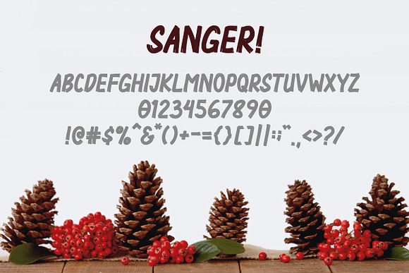 Sanger in Display Fonts - product preview 3