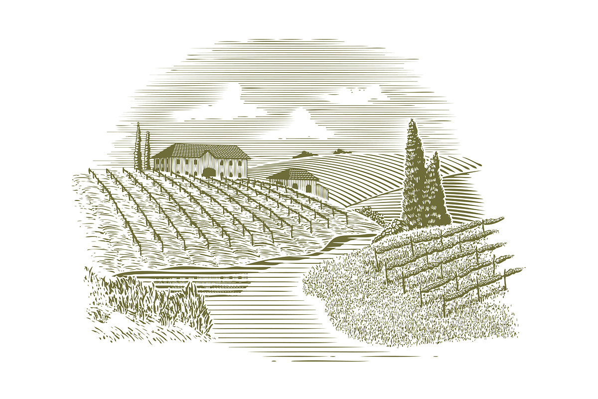Woodcut Vineyard and Stream in Illustrations - product preview 8