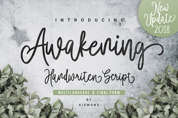 CELEBRATE 2019 BUNDLE - 51 Fonts in Display Fonts - product preview 12