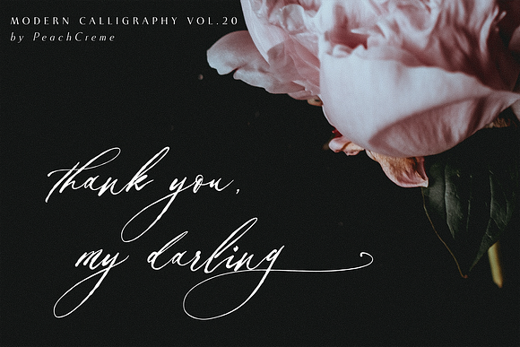 Balzak // Organic Calligraphy in Calligraphy Fonts - product preview 11