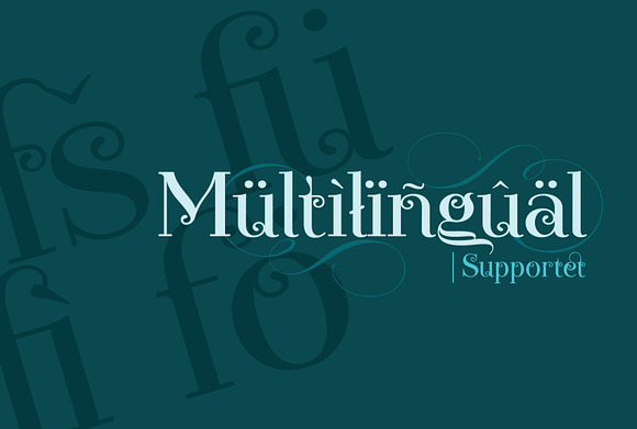 Novelia Pro in Display Fonts - product preview 19