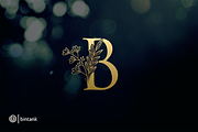 Golden B Letter Logo