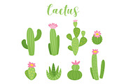 Cute cactus vector illustration