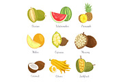 Durian ans Watermelon Icons Vector
