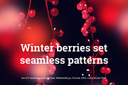 SALE! Winter berries patterns | JPG