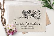 Rose Garden. Botanical Graphics