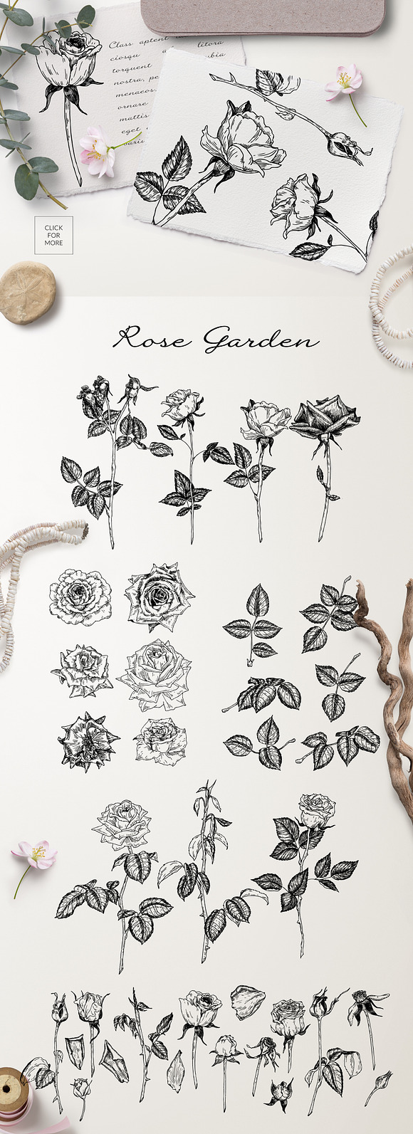 Rose Garden. Botanical Graphics in Illustrations - product preview 1