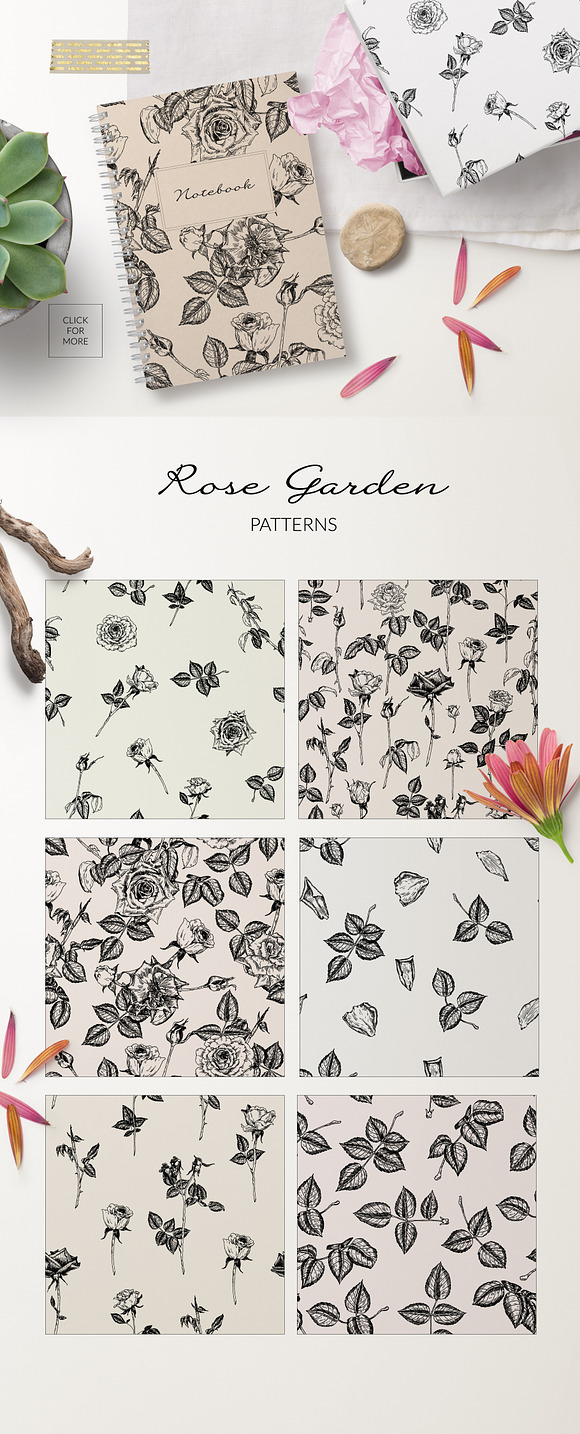 Rose Garden. Botanical Graphics in Illustrations - product preview 2