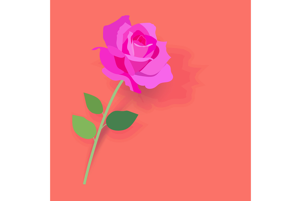 Beautiful pink rose with green leaf  in Illustrations - product preview 8