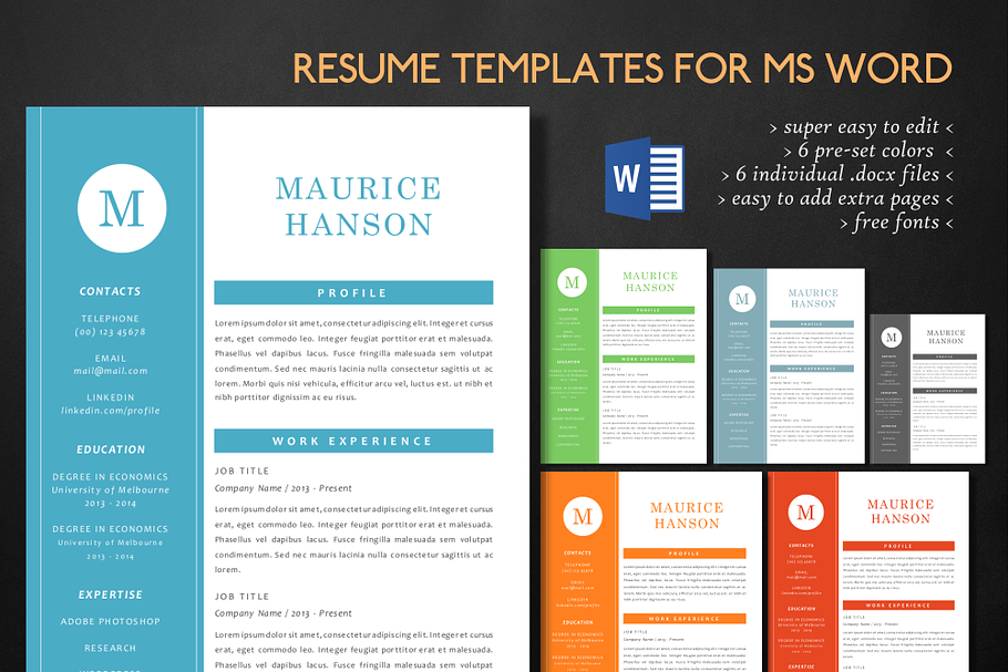Simple elegant 3 in 1 Word resume in Resume Templates - product preview 8