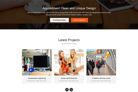 Appointment WordPress Theme in WordPress Business Themes - product preview 3