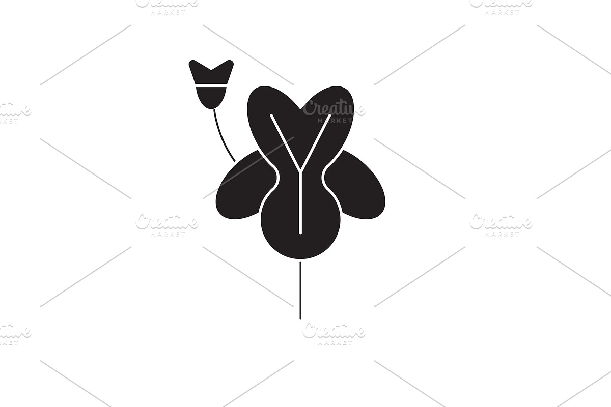 Alstroemeria black vector concept in Illustrations - product preview 8
