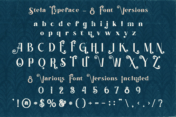 Stela - Display Font in Display Fonts - product preview 3