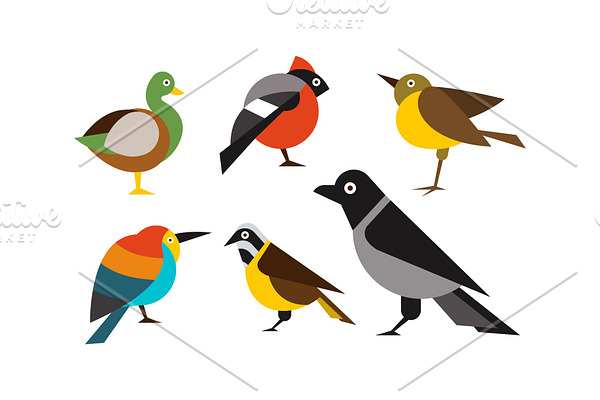 Birds set, duck, bullfinch, sparrow