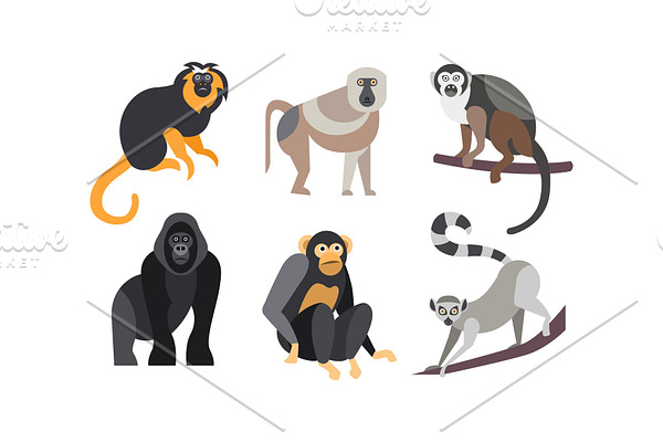 Collection of monkeys, different