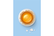 Broken egg with yolk and shell